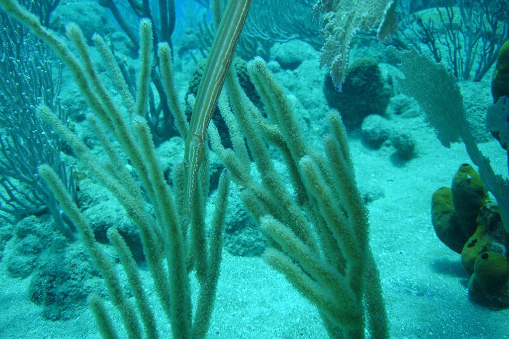 2008-05-19 17-15-30.JPG